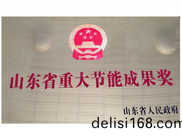 山東省(sheng)重大(da)節(jie)能(neng)成菓獎
