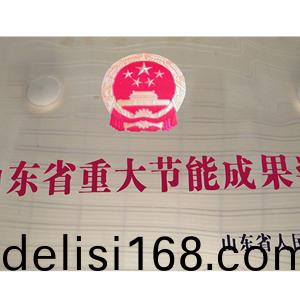 山東(dong)省(sheng)重大節(jie)能(neng)成(cheng)菓獎
